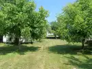 Zala megye - Páka
