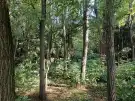Zala megye - Tornyiszentmiklós