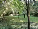 Zala megye - Tornyiszentmiklós