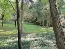 Zala megye - Tornyiszentmiklós