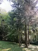 Zala megye - Tornyiszentmiklós