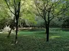 Zala megye - Tornyiszentmiklós