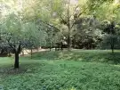 Zala megye - Tornyiszentmiklós