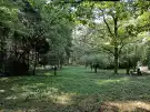 Zala megye - Tornyiszentmiklós
