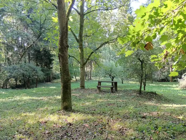 Eladó Építési telek, Tornyiszentmiklós 1721 m² 2.5 M Ft