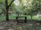 Zala megye - Tornyiszentmiklós