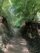 Zala megye - Tornyiszentmiklós