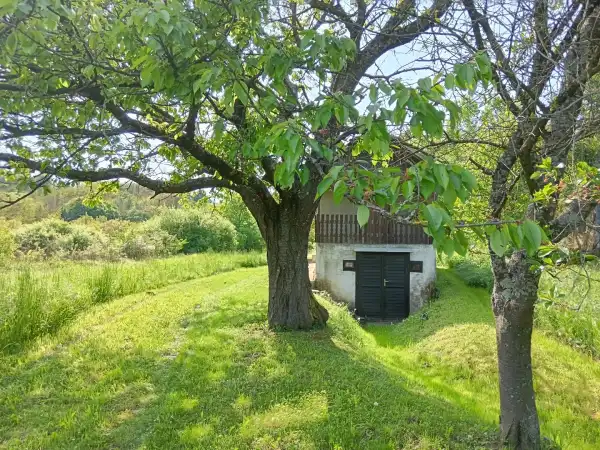 Eladó Gyep, Tornyiszentmiklós 3030 m² 1.7 M Ft