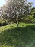 Zala megye - Tornyiszentmiklós