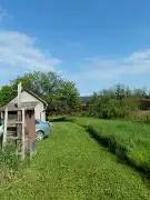Zala megye - Tornyiszentmiklós