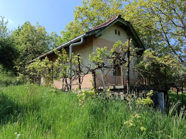 Eladó Gyümölcsös, Lovászi 1801 m² 2.9 M Ft