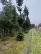 Zala megye - Nagykanizsa