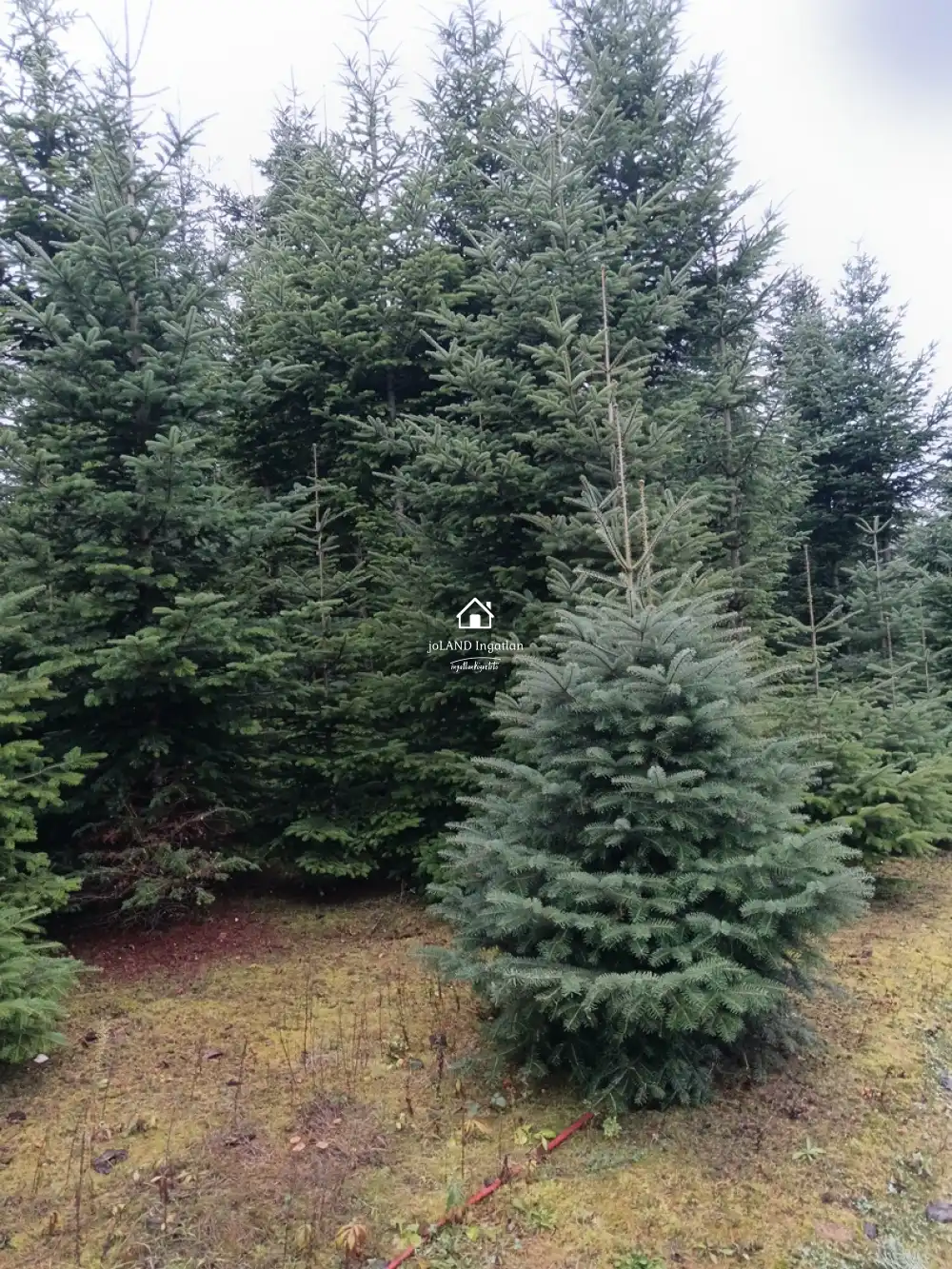 Zala megye - Nagykanizsa