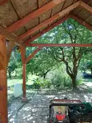 Zala megye - Borsfa