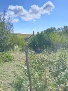 Zala megye - Borsfa