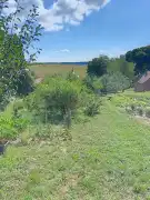 Zala megye - Borsfa