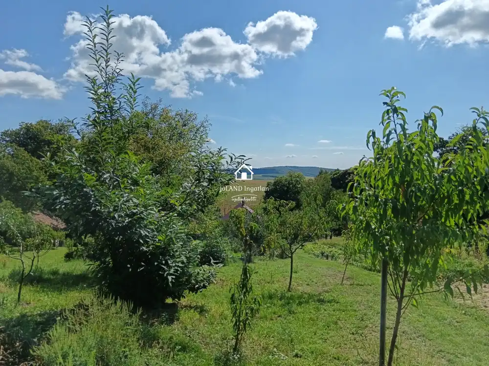 Zala megye - Borsfa