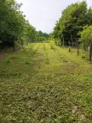 Zala megye - Oltárc