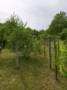 Zala megye - Oltárc