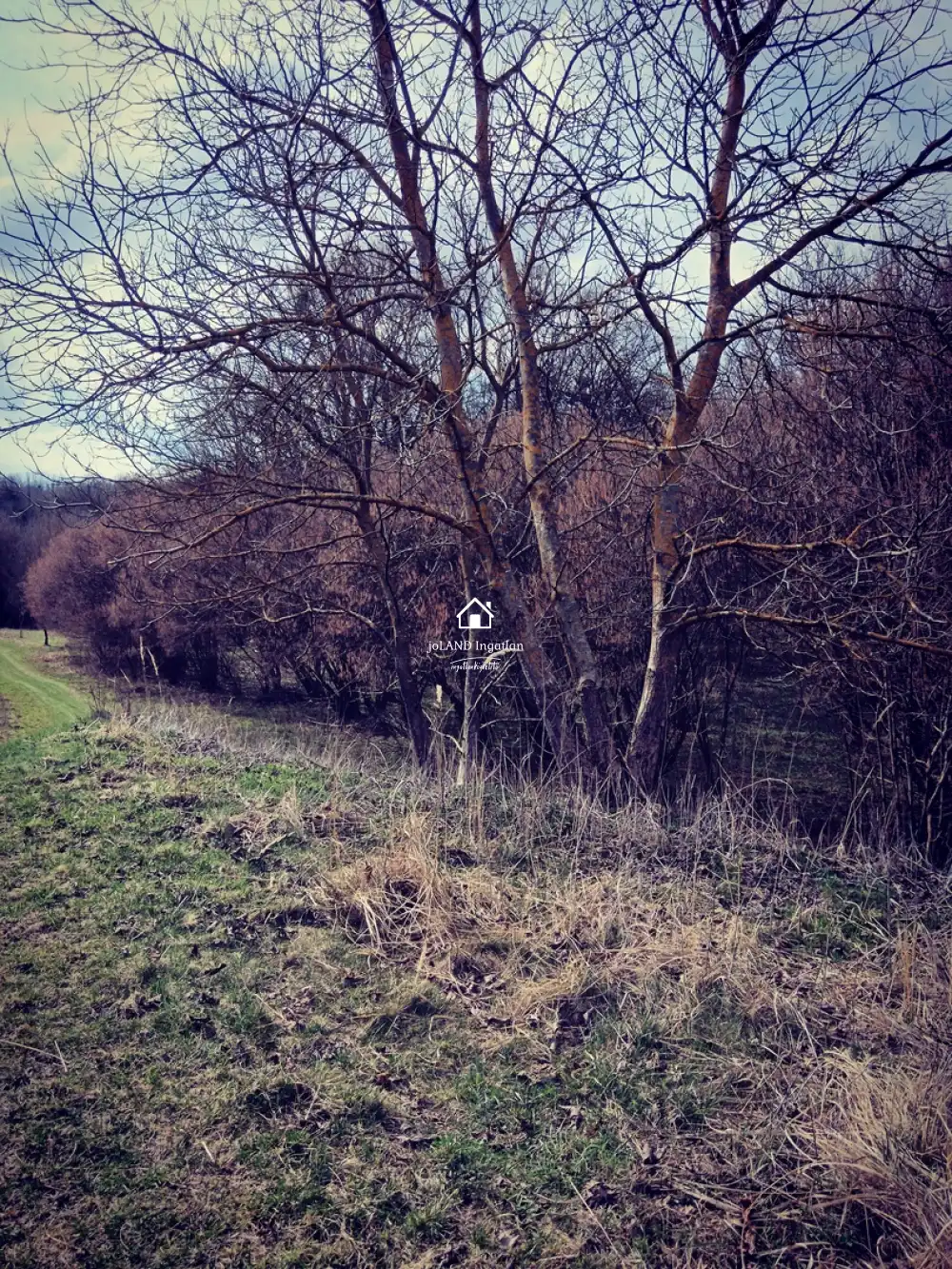 Zala megye - Pusztamagyaród