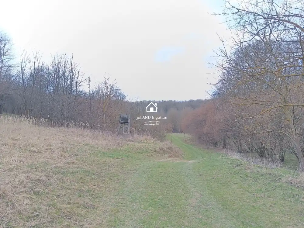 Zala megye - Pusztamagyaród