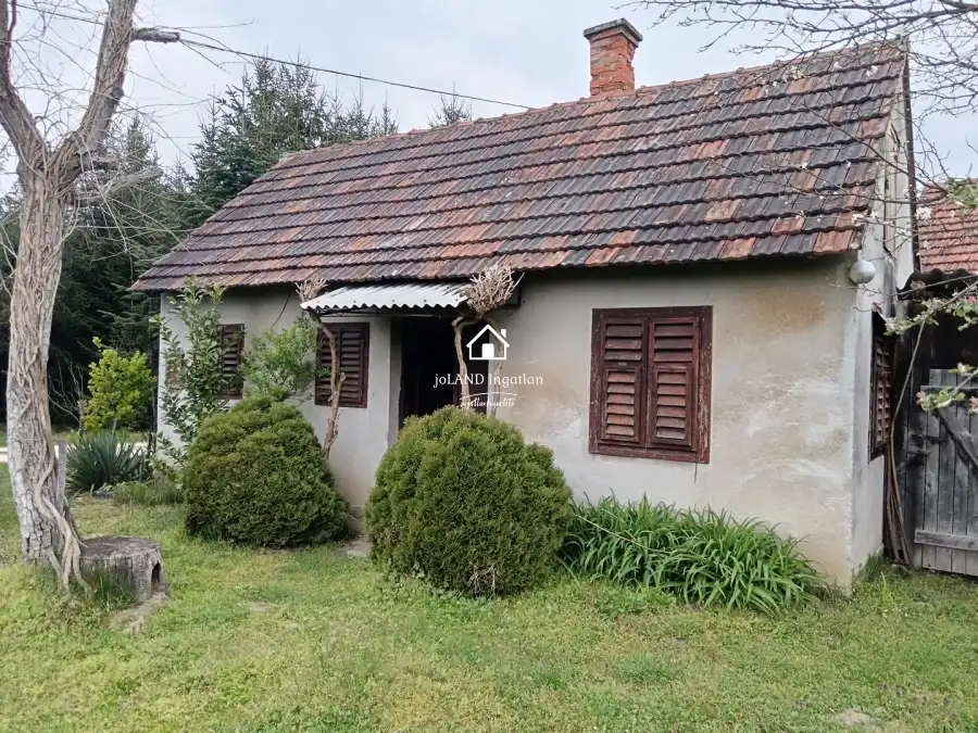 eladó  Szőlős, Belezna