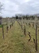 Zala megye - Belezna