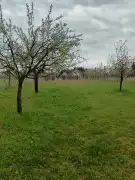 Zala megye - Belezna