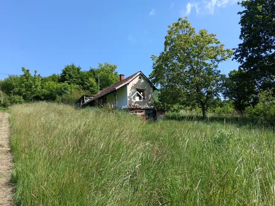 eladó  Szőlős, Kerkateskánd