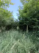 Zala megye - Kerkateskánd