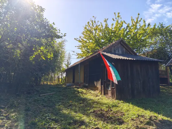 Eladó Szőlős, Lendvadedes 1764 m² 2.9 M Ft