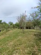 Zala megye - Lendvadedes