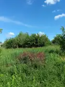 Zala megye - Letenye
