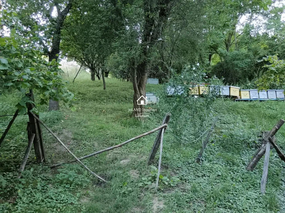 Zala megye - Páka
