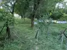 Zala megye - Páka