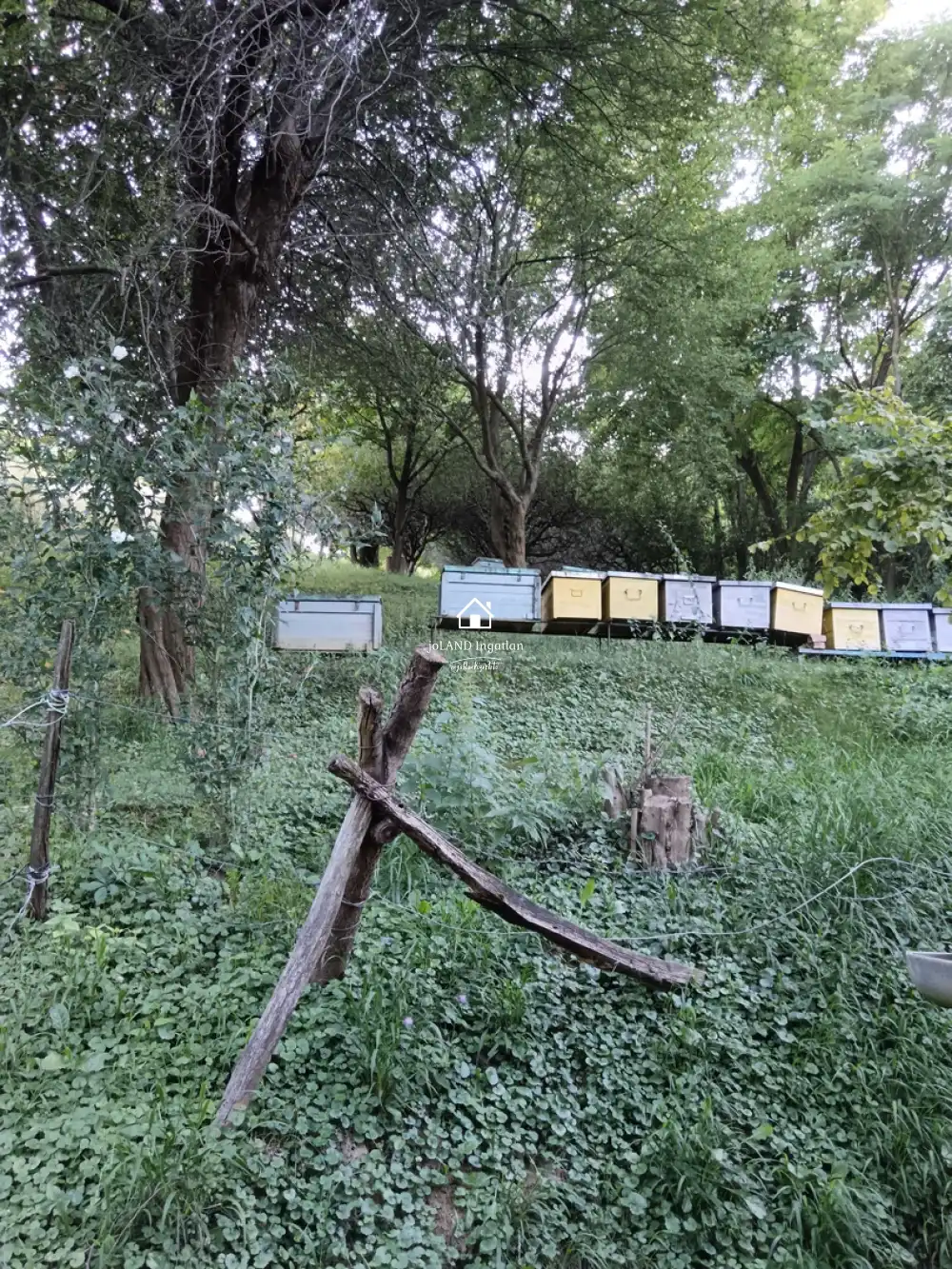 Zala megye - Páka