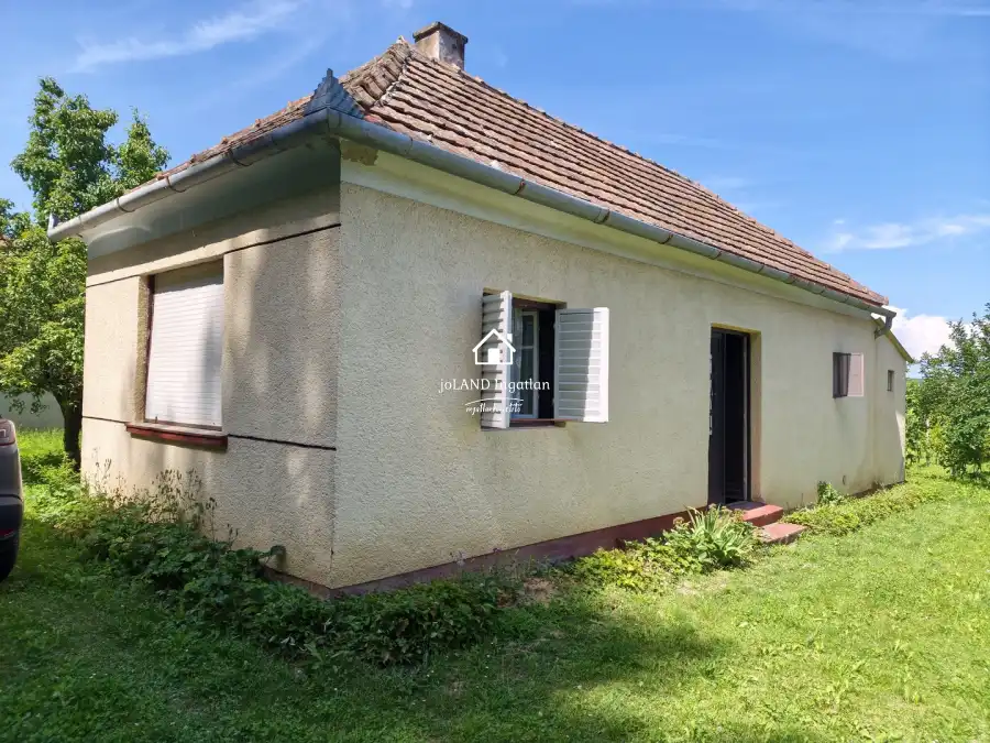 eladó  Szőlős, Rigyác