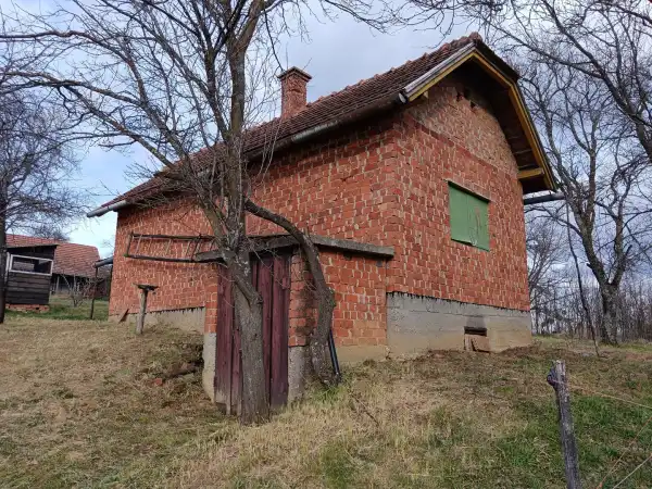 Eladó Szőlős, Tormafölde 1360 m² 2.5 M Ft