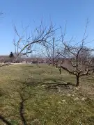 Zala megye - Rigyác
